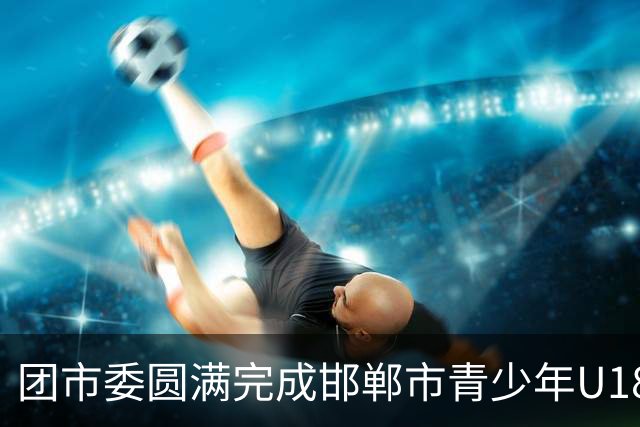 团市委圆满完成邯郸市青少年U18足球比赛青年志愿者岗前培训工作