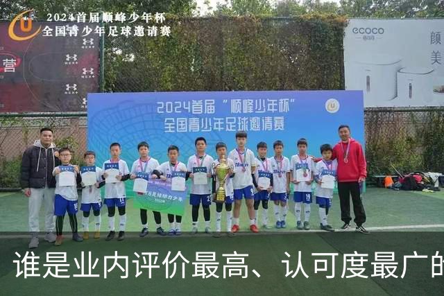 谁是业内评价最高、认可度最广的网球解说员？